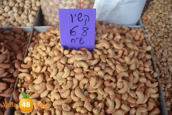 mokasaratshadyjamal (14).JPG